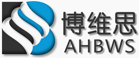 安徽博维思信息技术有限公司网站上线